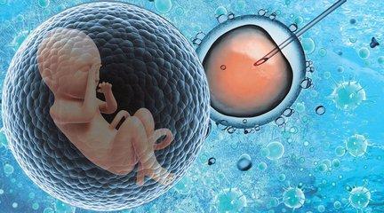 试管代怀生子助孕代妈生殖中心